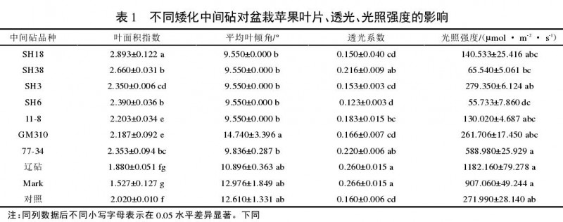 不同矮化中间砧对盆栽苹果叶片的影响