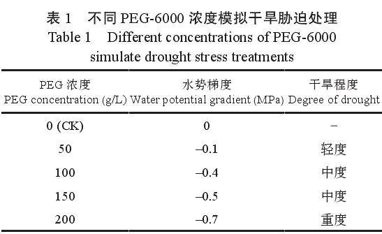 干旱胁迫对盆栽川丹参1号生理指标的影响