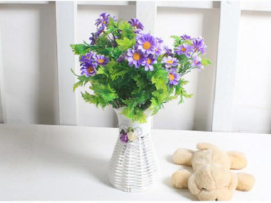 盆栽小菊的5个现代育种目标