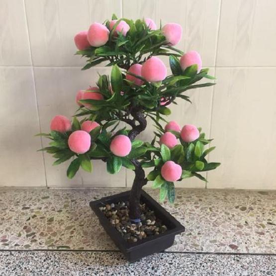 水蜜桃盆栽生长期怎么修剪