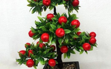 水蜜桃盆栽怎么病虫害防治的3个方法