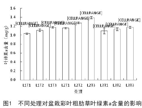 不同处理对盆栽彩叶粗肋草叶绿素含量的影响