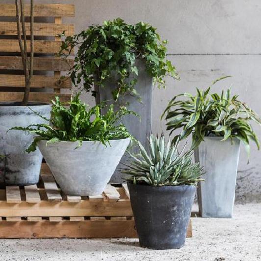 合肥市室内公共空间有盆栽植物