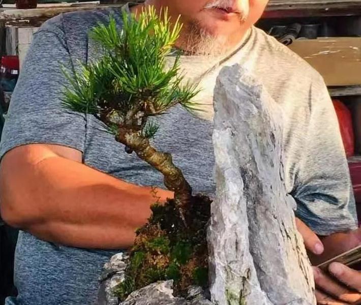 为什么法律途径不能有效解决盆景掠夺的问题