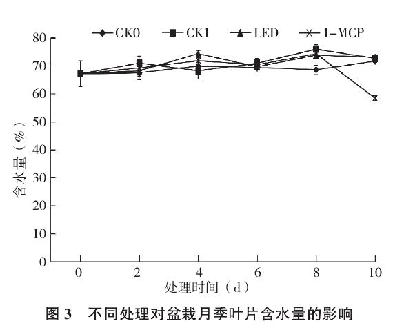 不同处理对盆栽月季叶片色差的影响
