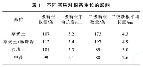 芍药盆栽技术的试验研究