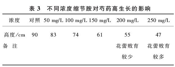 芍药盆栽技术的试验研究