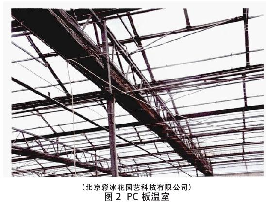 设施盆栽花卉企业调研纪实与产业发展建议