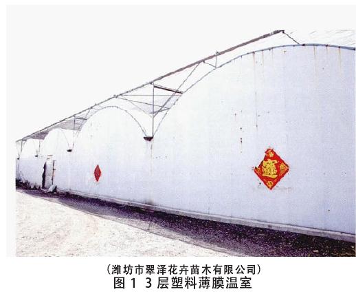 设施盆栽花卉企业调研纪实与产业发展建议