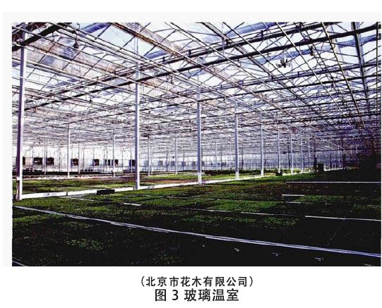 设施盆栽花卉企业调研纪实与产业发展建议