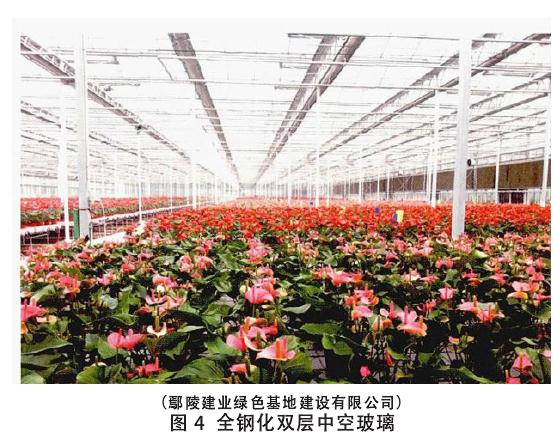 设施盆栽花卉企业调研纪实与产业发展建议