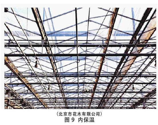 生产盆栽花卉怎么温度调控的方法