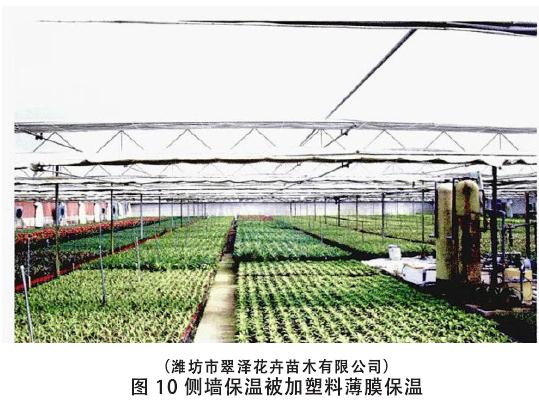 生产盆栽花卉怎么温度调控的方法