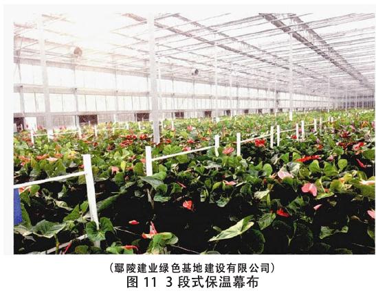 生产盆栽花卉怎么温度调控的方法