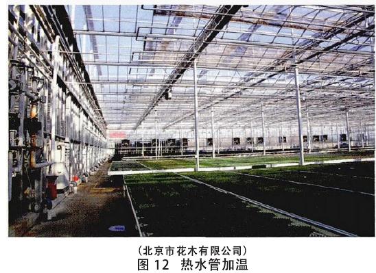 生产盆栽花卉怎么温度调控的方法