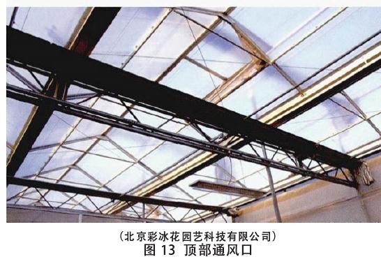 生产盆栽花卉怎么温度调控的方法