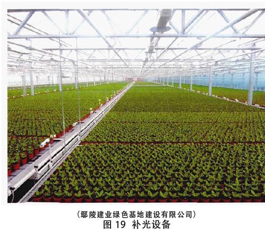 盆栽花卉怎么浇水施肥的方法