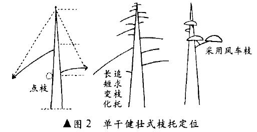 单干健壮式盆景怎么造型的方法