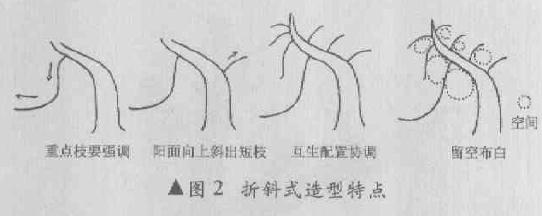 折斜式盆景怎么造型