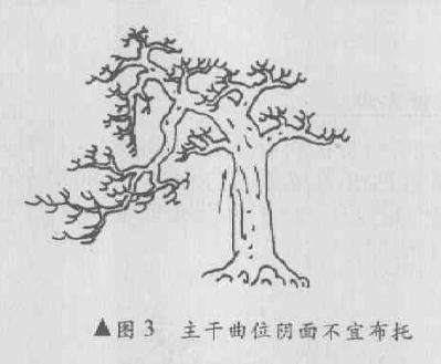 折斜式盆景怎么造型