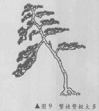 直斜式盆景怎么造型的4个方法