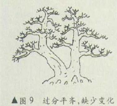 图解 双干直斜式盆景怎么造型的4个方法