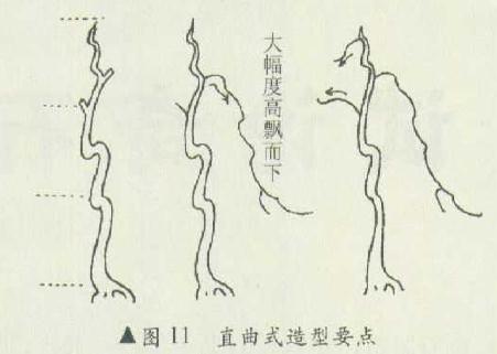 曲干型盆景怎么造型