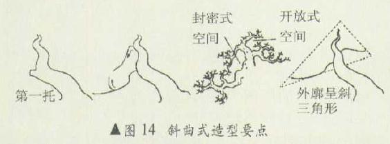 斜曲式盆景怎么造型