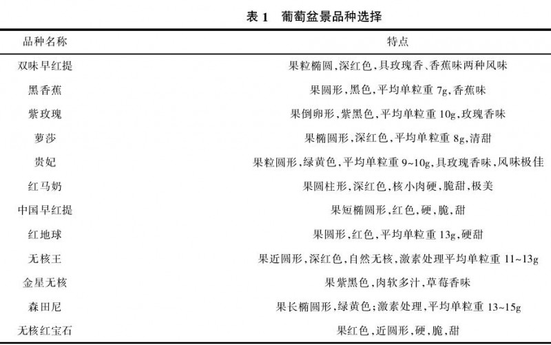 葡萄盆景怎么整形