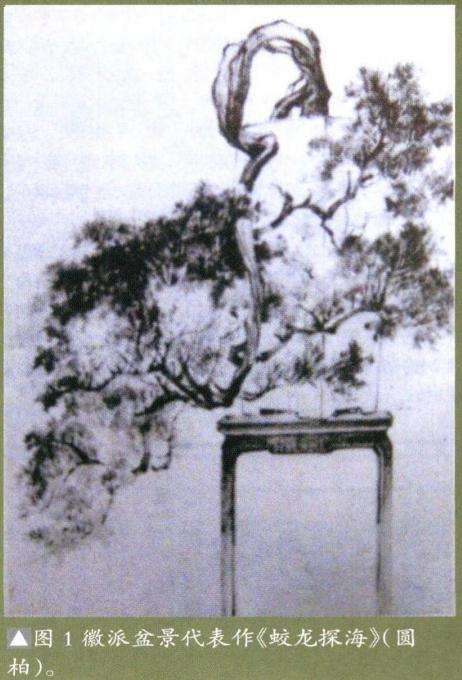 盆景《图腾》怎么创作的后记