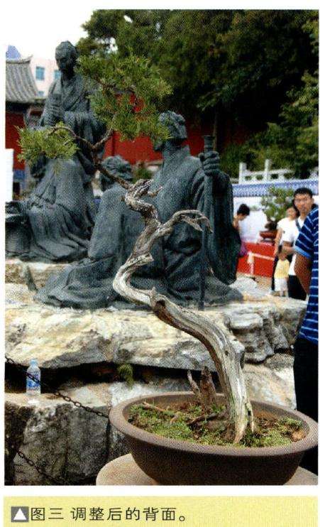 图三调整后的背面