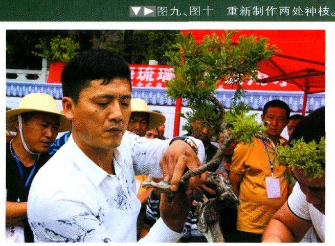 图十重新制作两处神枝
