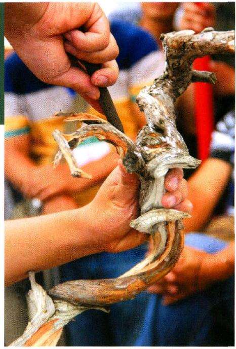 图十重新制作两处神枝