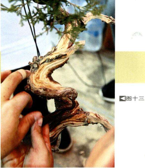 图十三干身粗雕后