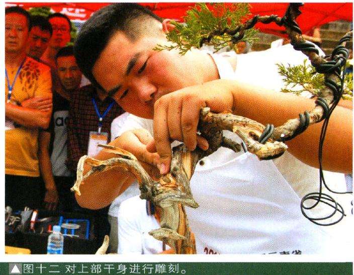 图十二对上部干身进行雕刻