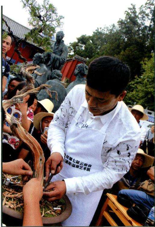 图解 樊顺利怎么文人树盆景的23个过程