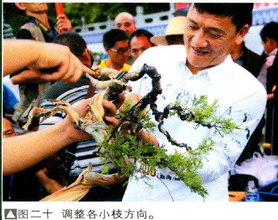图二十调整各小枝方向