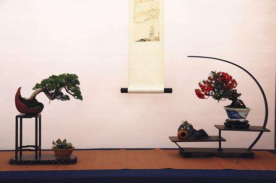 2019年 全国小微盆景展暨盆景交易大会