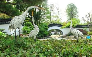 上海植物园与盆景园概况是什么