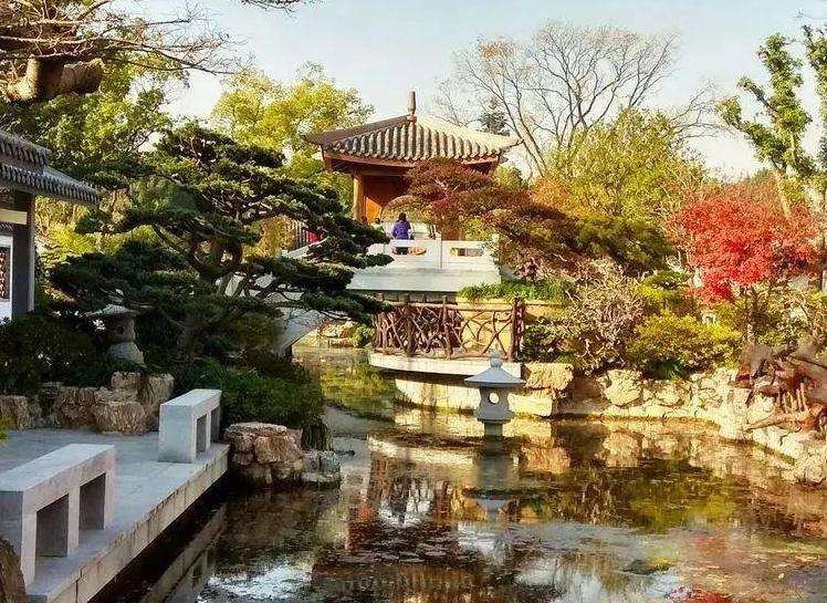 盆景园植物景观改造工程概况