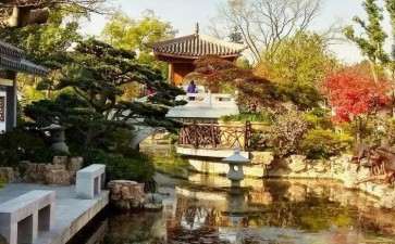 上海盆景园植物景观改造工程概况