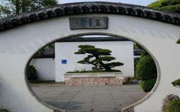 上海盆景园植物景观现状分析