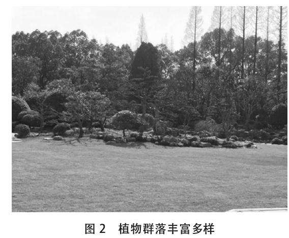 上海盆景园植物景观怎么改造的7个分析
