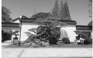 上海盆景园植物景观怎么改造的7个分析