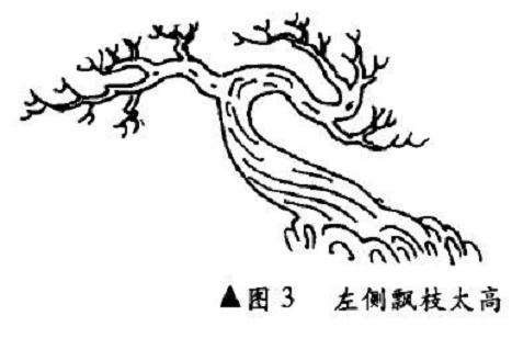 图解 回旋式盆景怎么制作造型的4个方法