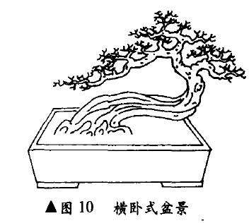 图解 卧干型怎么配盆造型的4个方法