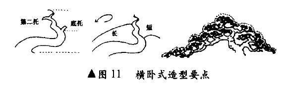 图解 卧干型怎么配盆造型的4个方法