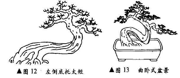 图解 卧干型怎么配盆造型的4个方法