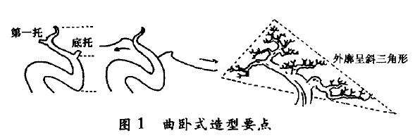 图解 卧干型怎么配盆造型的4个方法