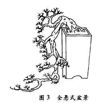 图解 悬崖式盆景怎么配盆造型的4个方法